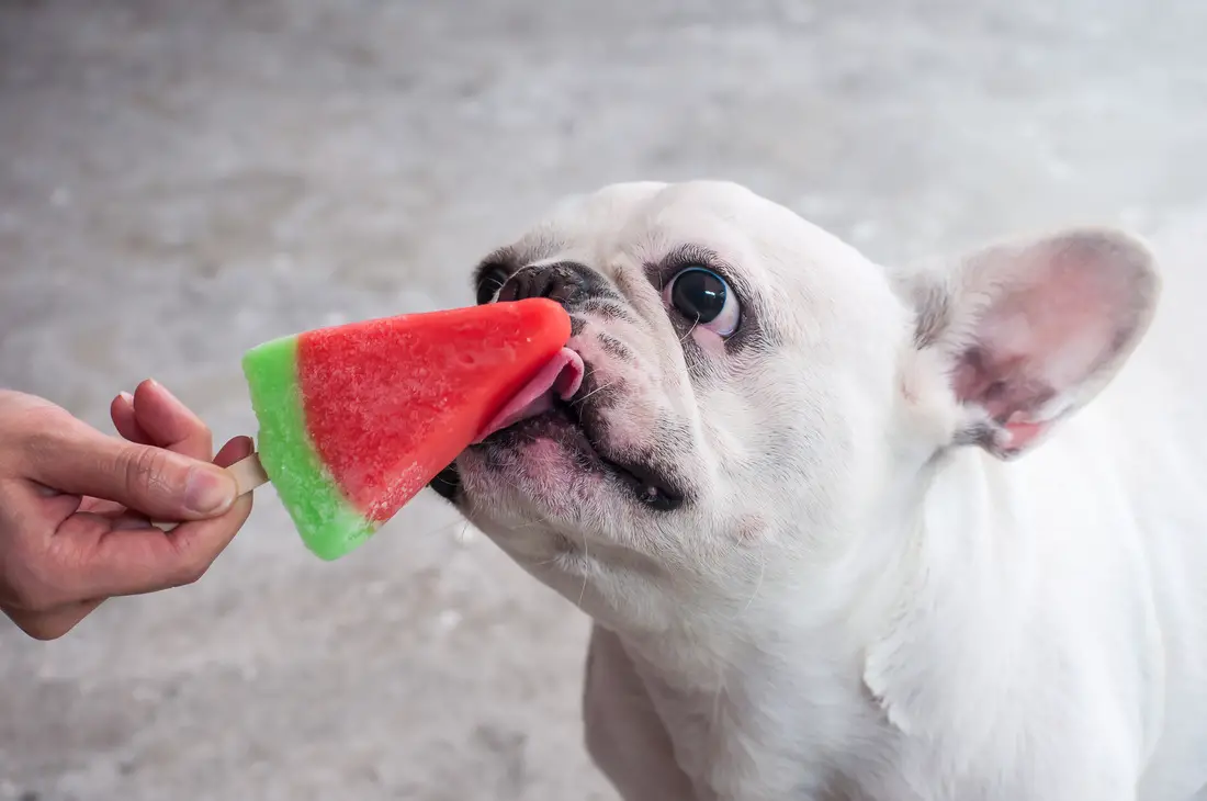 Fruity Pup sicle