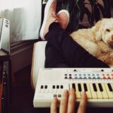 dog and music organ