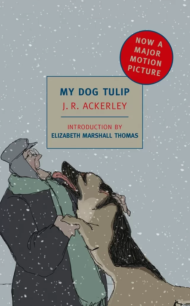 My Dog Tulip books about dog