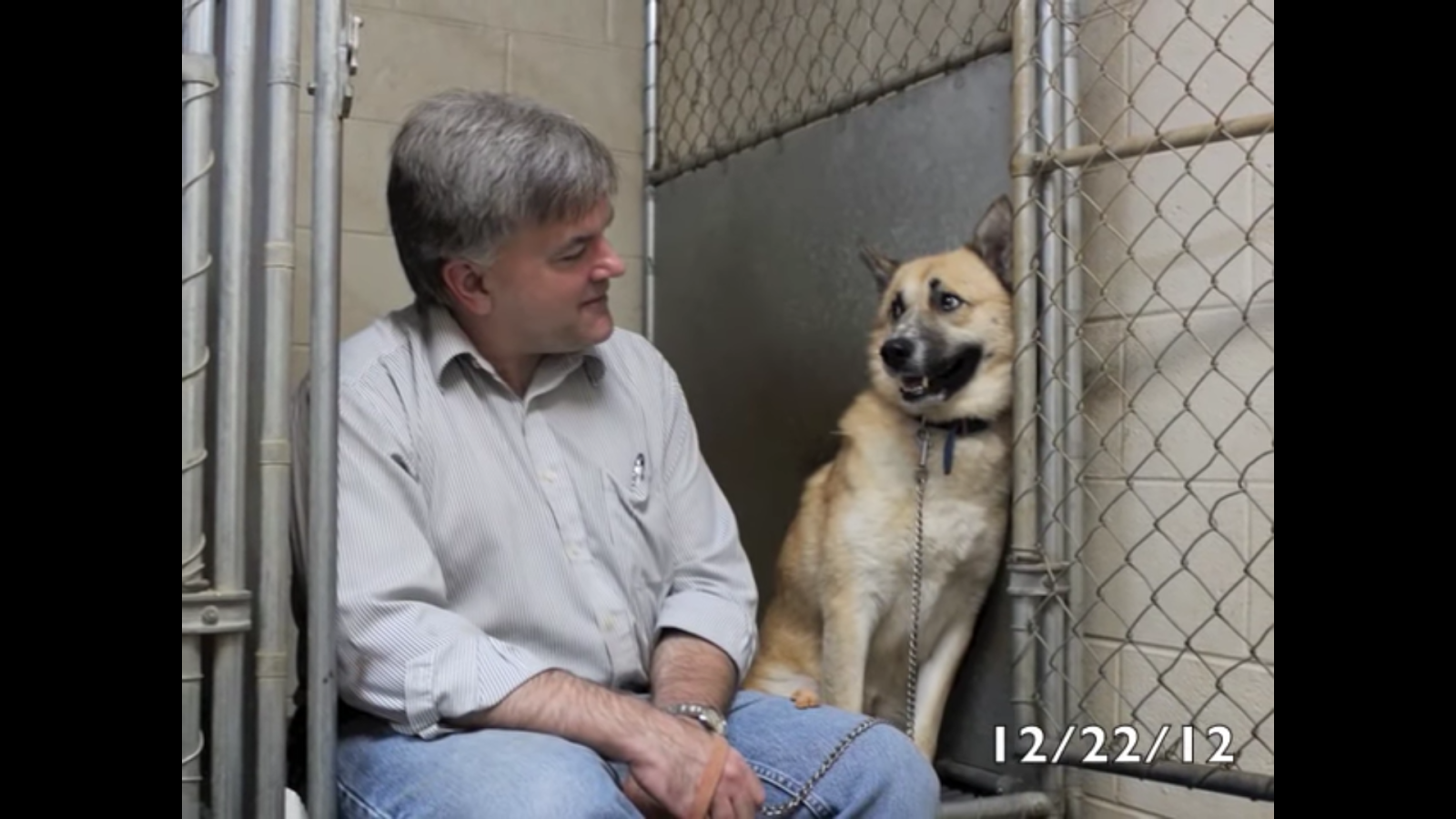 dog rescue stories jimmy