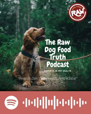 The Raw Dog Food Truth