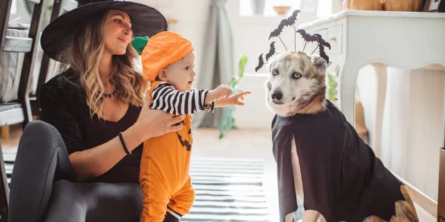 dog and baby halloween
