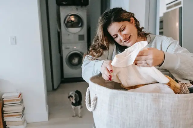 laundry and dog safe cleaner