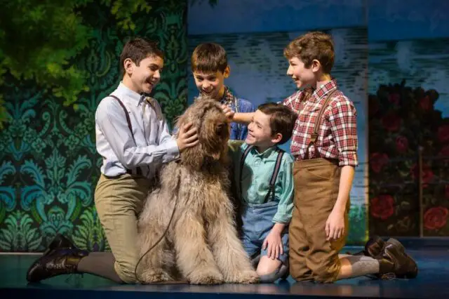 theater shows with dogs finding neverland