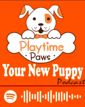 your new puppy podcast