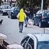 Dog saves woman