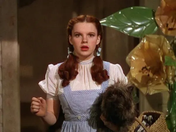 Toto Dorothy Wonderful World of Oz
