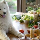 superfoods for dogs