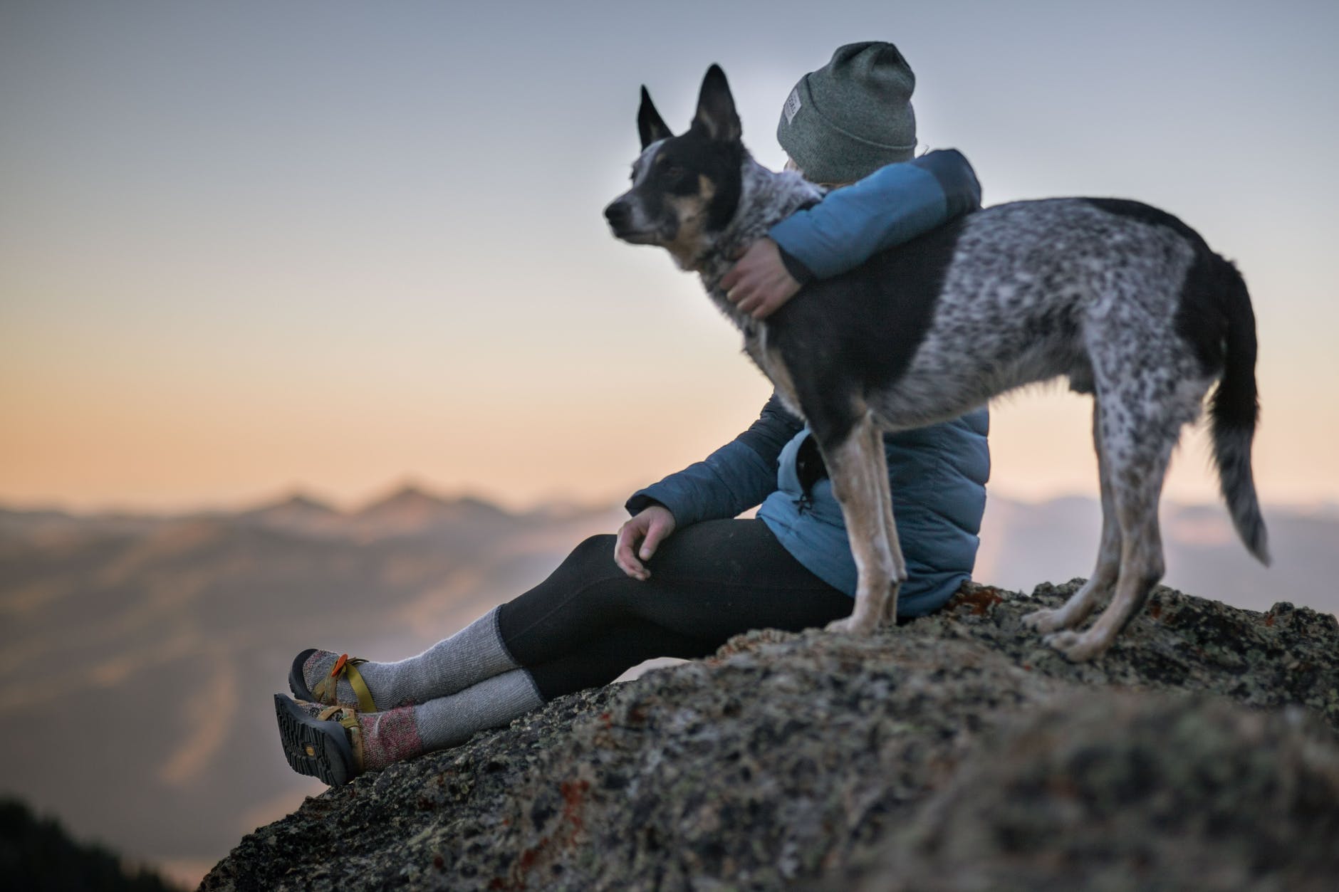 dog and owner on top of mountain