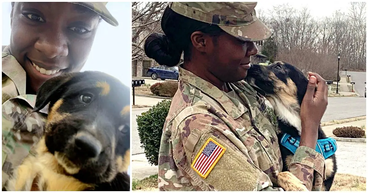 soldier reunites with rescued pup from overseas