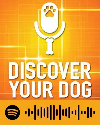 Discover Your Dog
