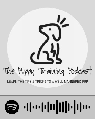 The Puppy Podcast
