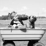 kids and dogs on a wagon