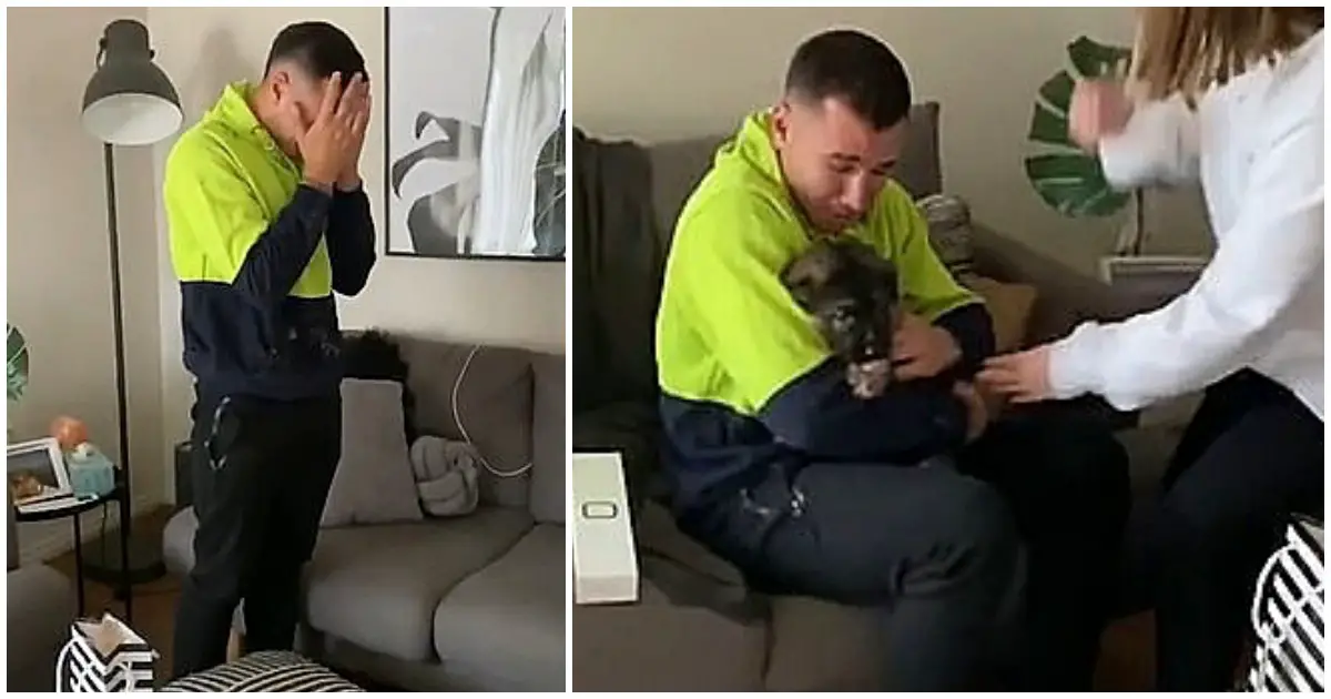 man gets new puppy as a present