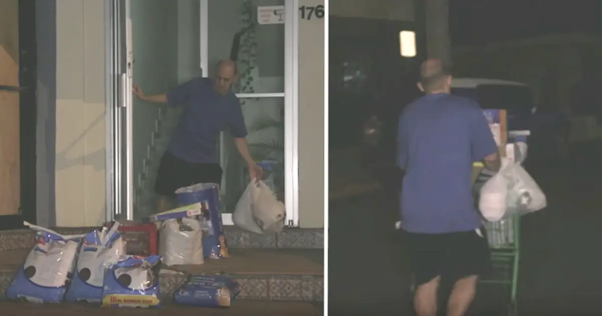 undercover man feeds dogs at night