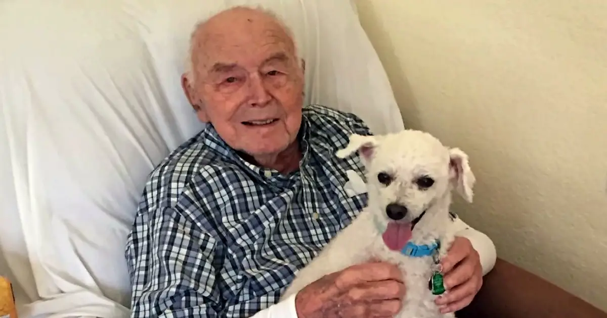 war veteran reunited with puppy