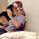 animal shelter dog rescued