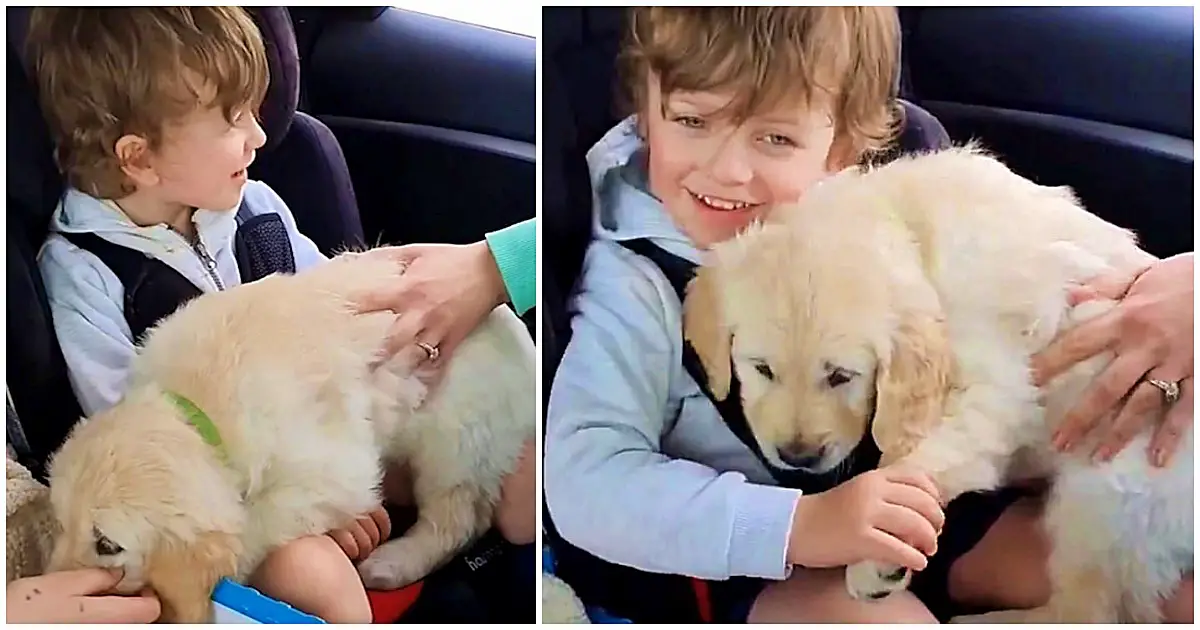 https://ilovemydogsomuch.com/wp-content/uploads/2021/11/boy-with-non-verbal-autism-with-dog.jpg