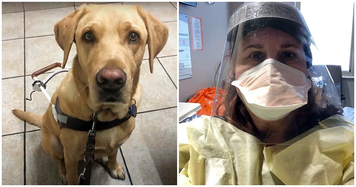 nurse takes care of guide dog