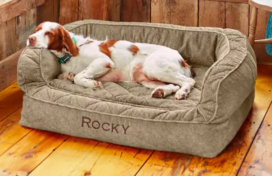 dog bed for rocky