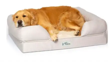 comfy dog bed