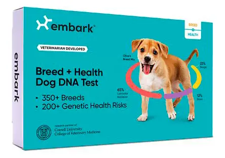 dog breed and health id