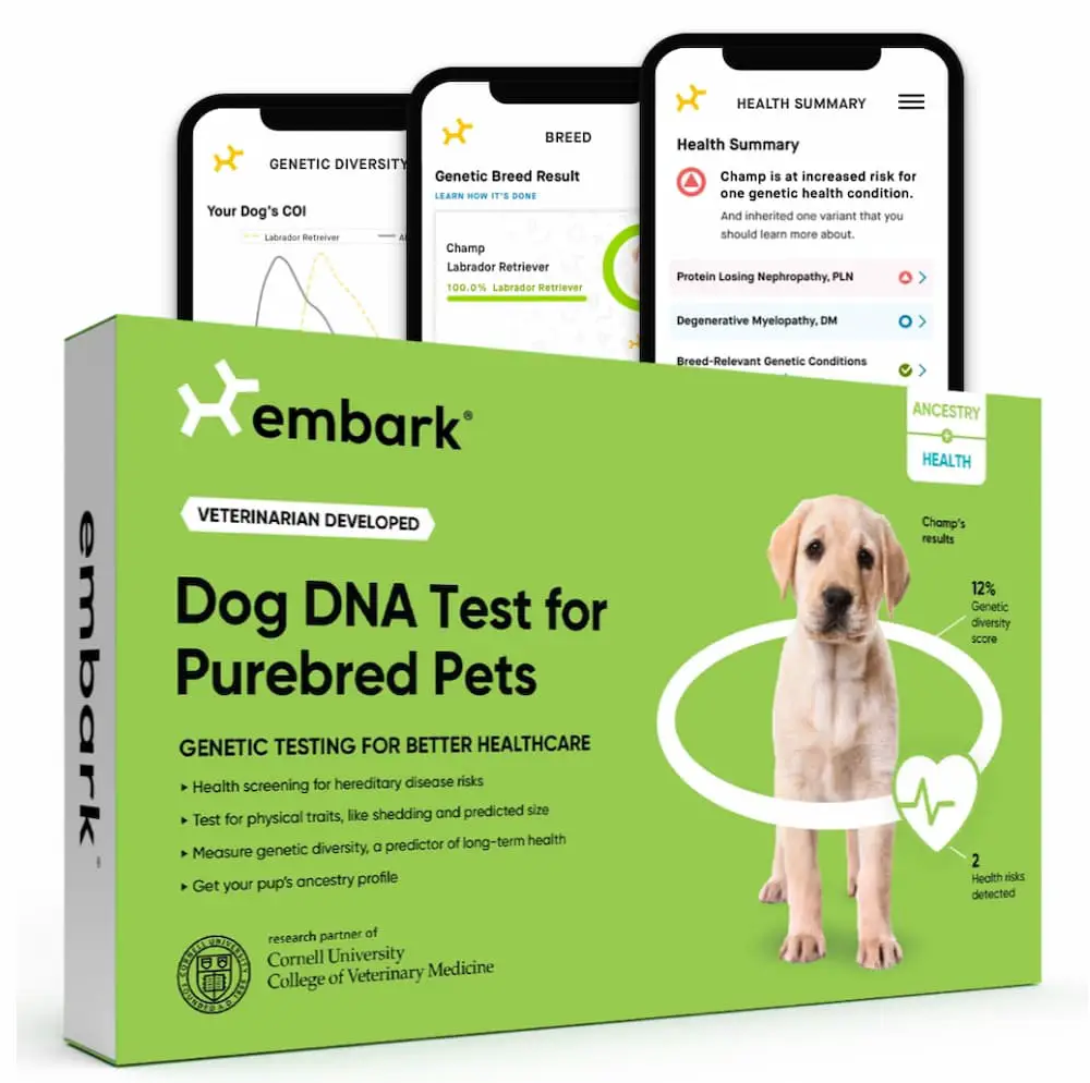 DNA Test for Purebred Dogs