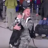 soldier reunites with his dog