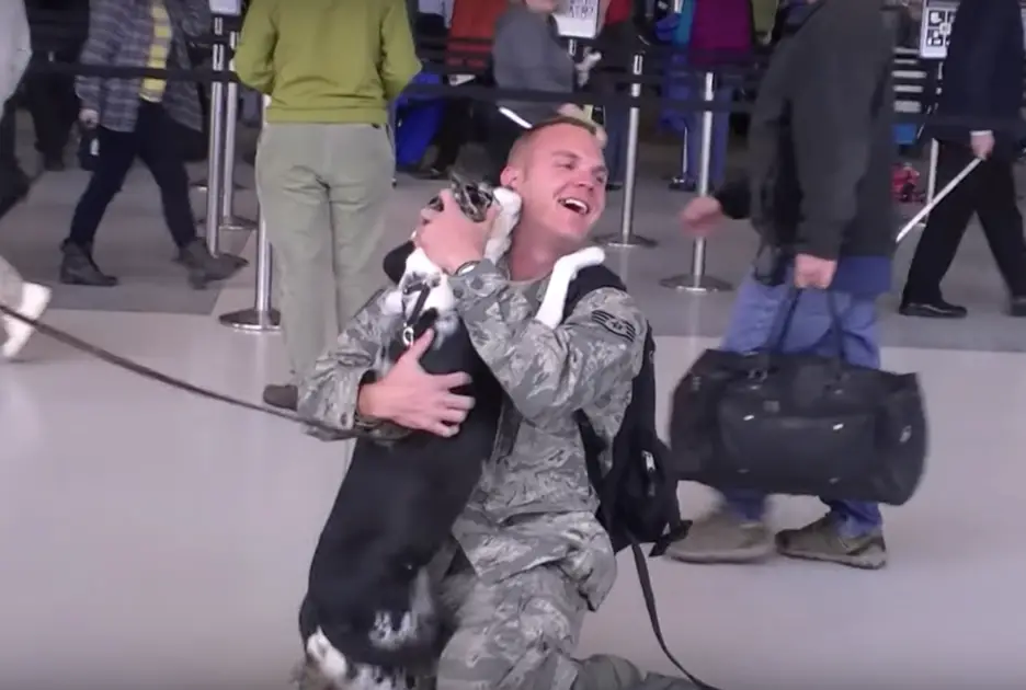 soldier reunites with his dog