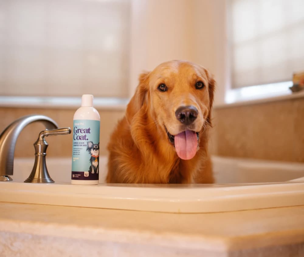 Great Pet Great Coat dog shampoo
