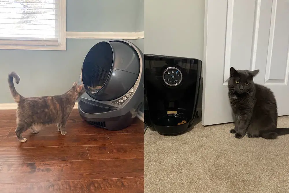 Product review photo from author of Litter-Robot and Feeder-Robot