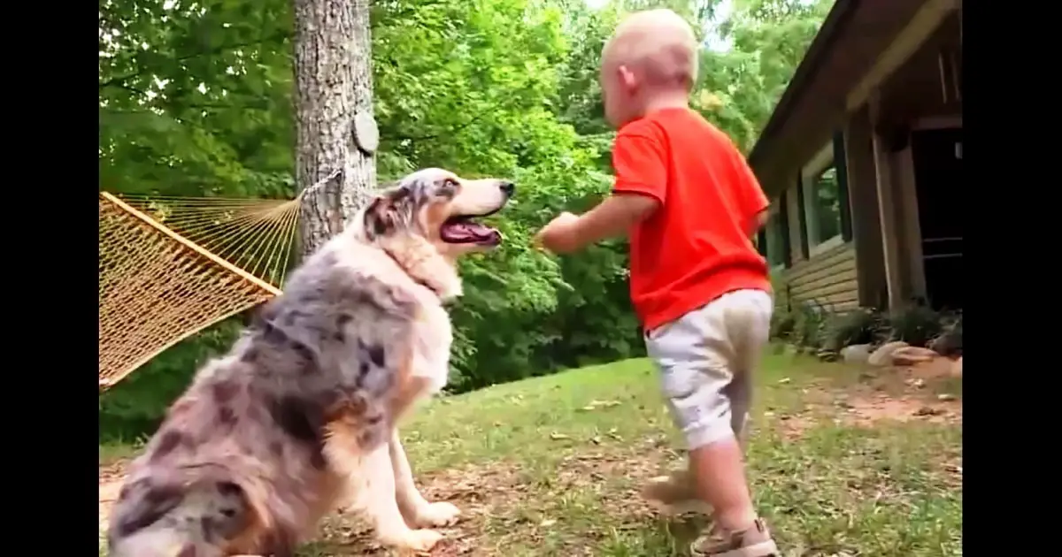 dog and baby in backyard