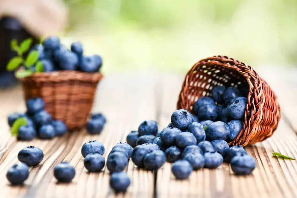 Basket of blueberries tumbled over on a wooden table