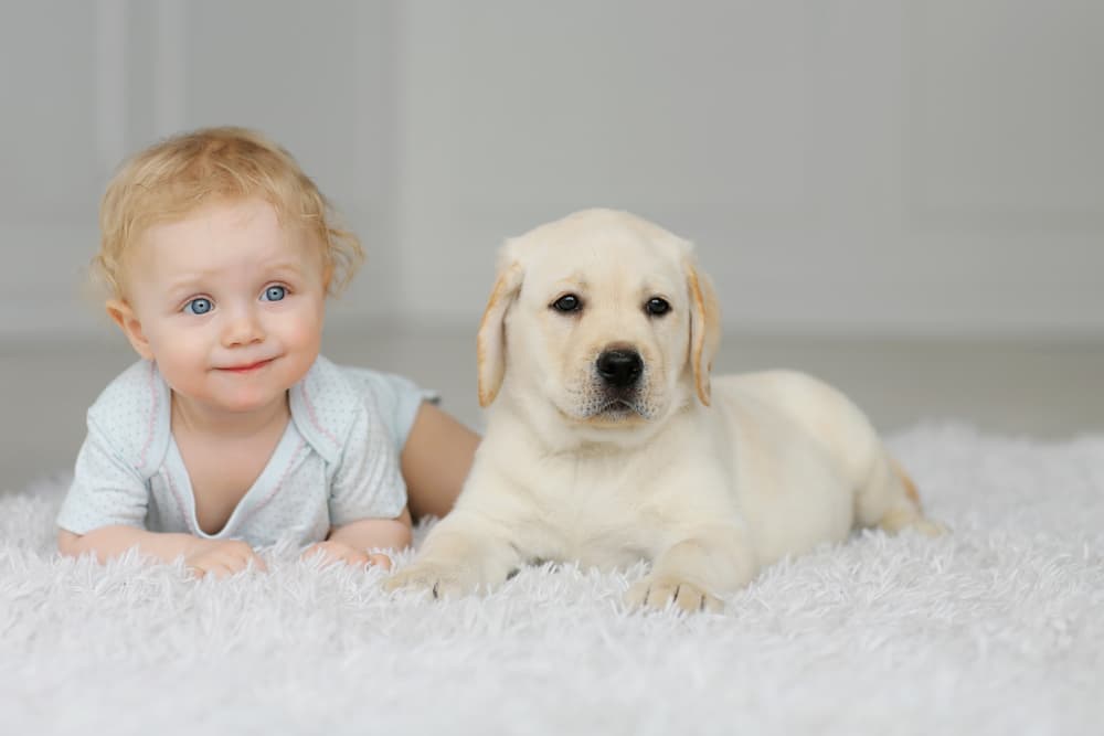 Baby girl sitting on a rug with a little puppy
