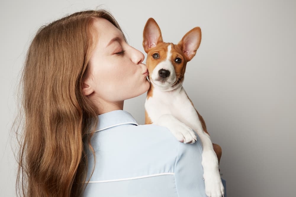 Basenji dog with owner example of some hypoallergenic dog breeds
