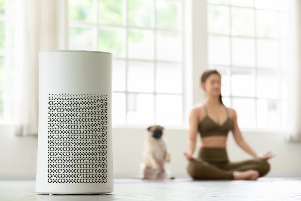 Air purifier in the home with dog and woman doing yoga in background