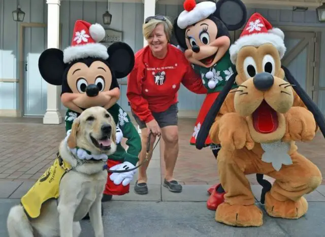 dog with disney characters 866x630 1