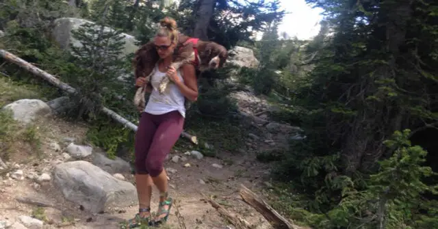 woman saves 55 pound injured dog and carries him on her shoulders down a mountain for 6 hours