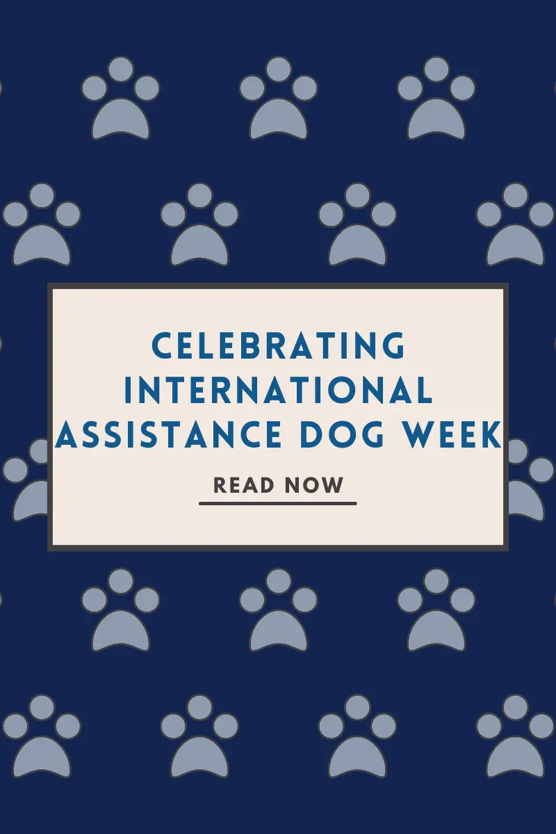 Dark blue background with repeating paw prints in grey blue font showing the words "Celebrating International Assistance Dog Week" with a "Read Now" button underneath in dark grey.